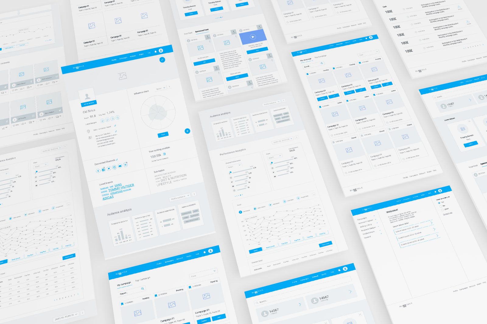 Buzzoole platform overview — creator, brand and reporting interfaces