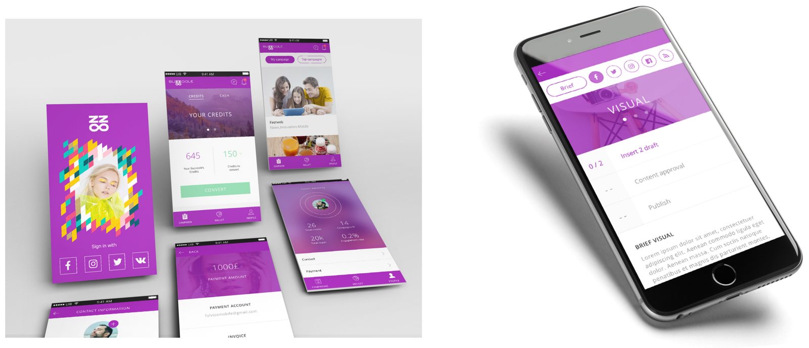 Buzzoole mobile creator app — wallet, payments and campaign brief approval